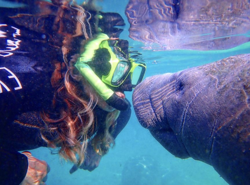 Crystal River: Manatee Swim Group Tour - Starting downtown at 545 North Citrus Avenue