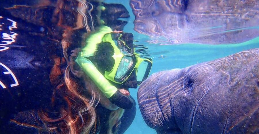 Crystal River: Manatee Swim Group Tour - Entering Kings Bay with the right expectations