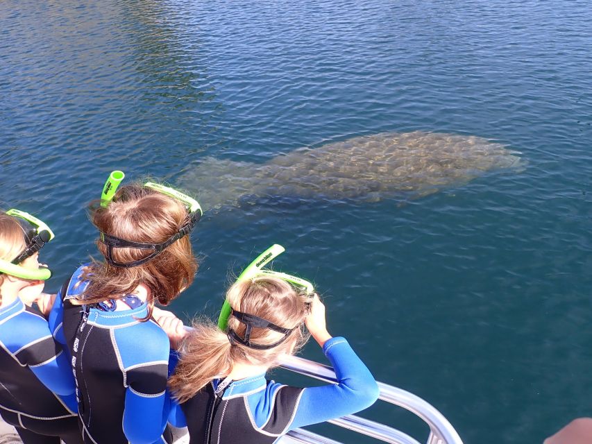Crystal River: Manatee Swim Group Tour - Is $69 a fair price?