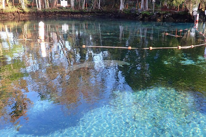 Crystal River Manatee Viewing Cruise - Starting at Explorida and moving to Pete’s Pier