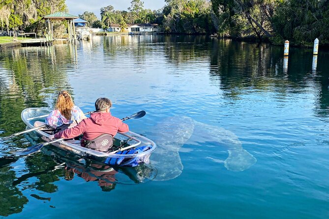 Crystal River Three Sisters Springs and Manatee Clear Kayak Tours - Choosing between Three Sisters Springs and manatee season