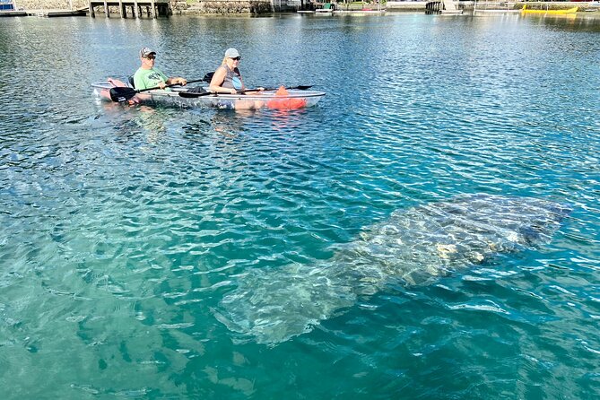 Crystal River Three Sisters Springs and Manatee Clear Kayak Tours - Paddling toward Three Sisters Springs