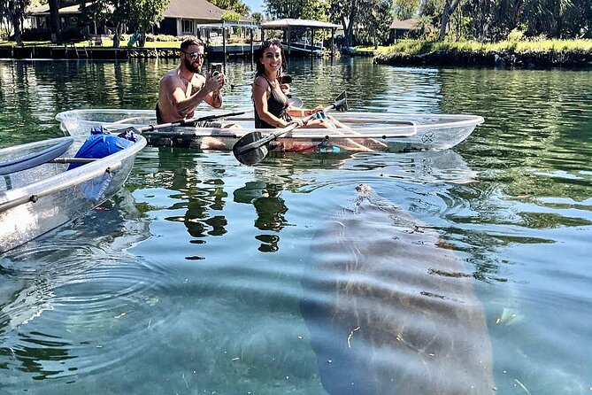 Crystal River Three Sisters Springs and Manatee Clear Kayak Tours - The guides make the biggest difference