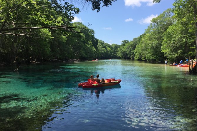Cypress Springs Eco Adventure - Paddling Holmes Creek in a kayak, canoe, or SUP