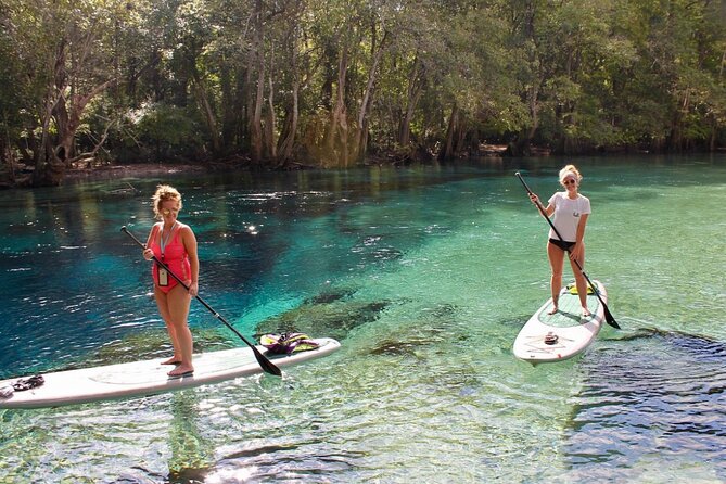 Cypress Springs Eco Adventure - Lunch, chairs, towels, and the real value of $120
