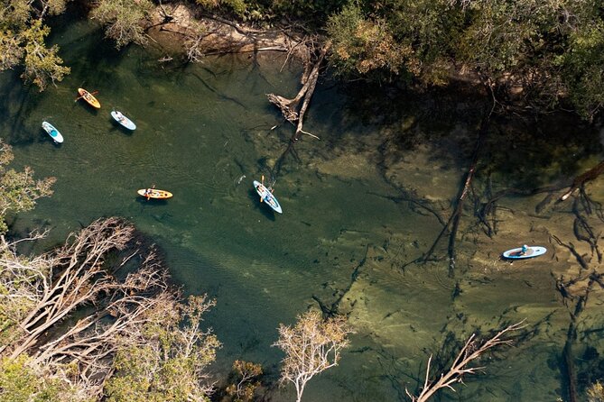 Cypress Springs Eco Adventure - Reaching the clear water of Cypress Springs