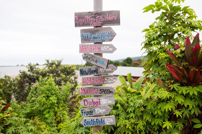 Day Trip from Oahu to Hilo: Volcano Adventure - Hilo’s Banyan Coast and Old Town Feel