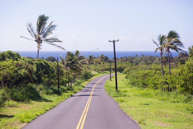 Day Trip from Oahu to Hilo: Volcano Adventure - Hawaii Volcanoes National Park: The Main Event
