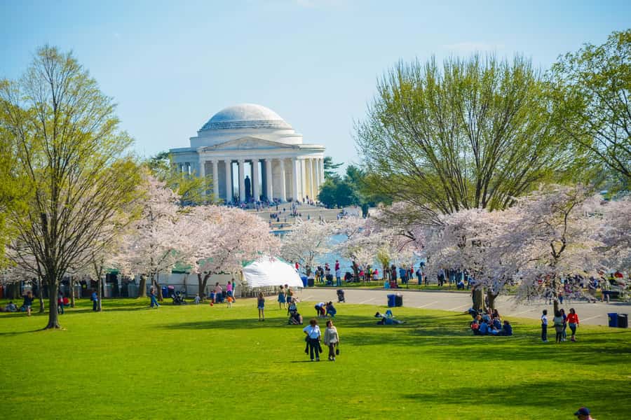 DC: Hop-on Hop-off Tour by Open-top Bus with 17 Stops - Key points to know before you book