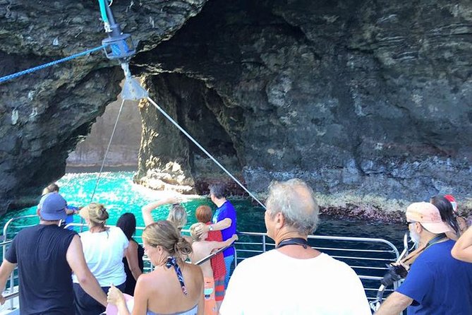 Deluxe Na Pali Morning Snorkel Tour on the Lucky Lady - Wildlife sightings depend on patience and luck