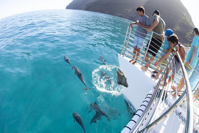 Deluxe Na Pali Morning Snorkel Tour on the Lucky Lady - The snorkeling stop: useful, fun, and not the whole tour