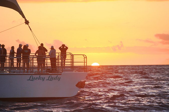 Deluxe Na Pali Sunset Tour on the Lucky Lady - Watching for whales, dolphins, and turtles