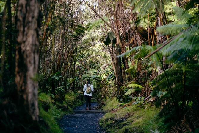 Deluxe Volcano Experience with Restaurant Dinner - Hawaiʻi Volcanoes National Park is the main event