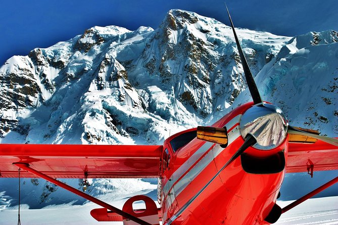 Denali Experience Flightseeing Tour from Talkeetna - How the value compares with an ordinary Denali visit