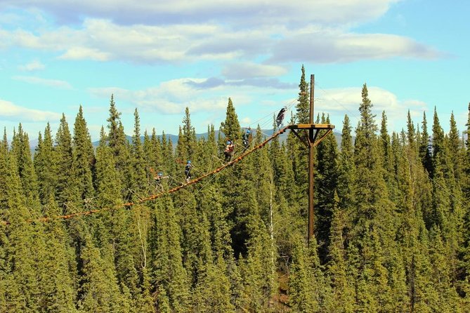 Denali Park Zipline Adventure - From Denali hotels to the forest trail