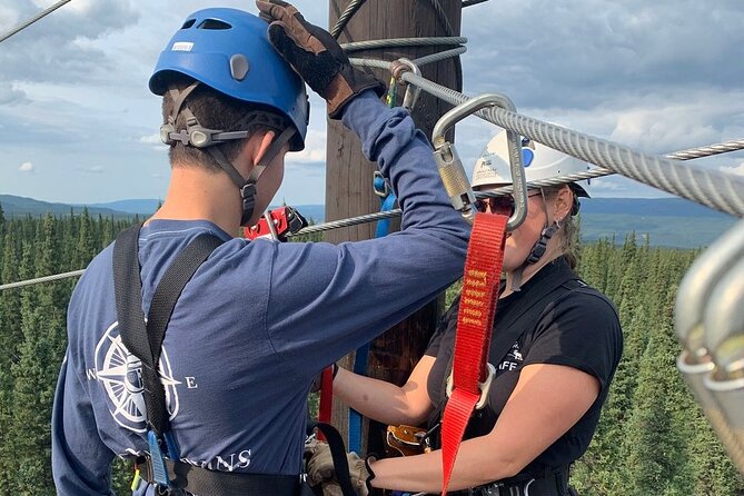 Denali Park Zipline Adventure - Six bridges make this more than a zipline ride