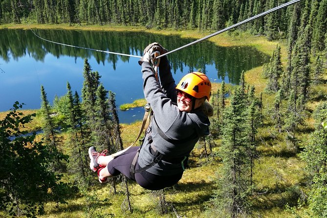 Denali Zipline Tour in Talkeetna, AK - Key things to know before you book