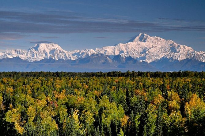 Denali Zipline Tour in Talkeetna, AK - Clothing, fitness, and age rules