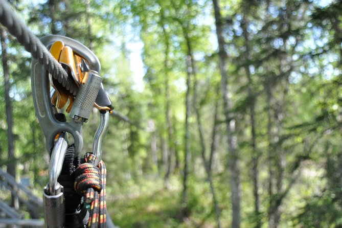 Denali Zipline Tour in Talkeetna, AK - Who will enjoy this Talkeetna outing most