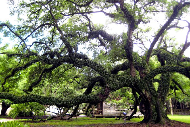 Destrehan Plantation Tour - How much value do you get for $29.70?
