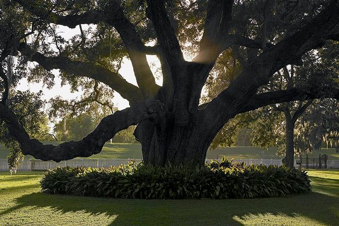 Destrehan Plantation Tour - Timing, group size, and who will enjoy it most