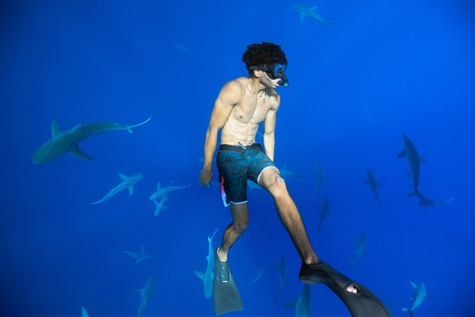 Dive with Sharks in Hawaii: Shark Tour from Haleiwa - Leaving Haleiwa for open Pacific water