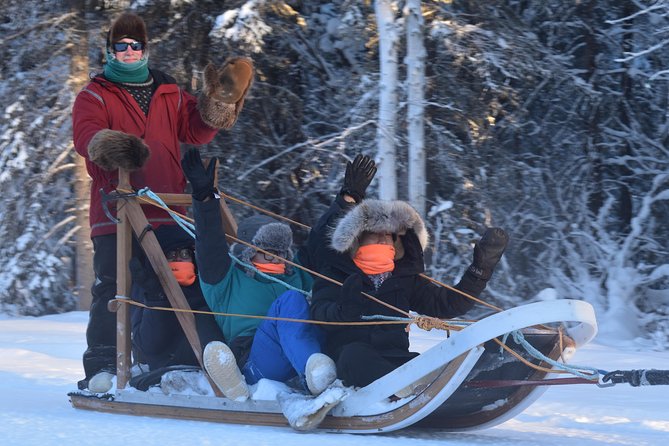 Dog Sledding and Mushing Experience in North Pole - Meeting the huskies at 3355 Repp Road