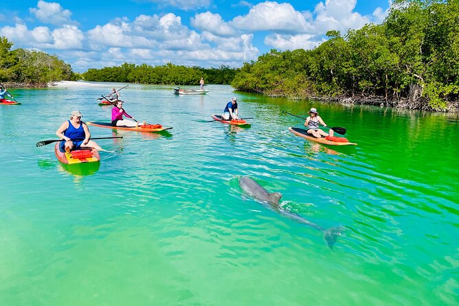 Dolphin and Manatee Adventure Tour of Fort Myers - Learning the Board Before Chasing Wildlife