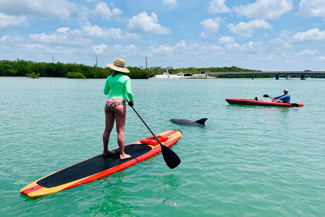 Dolphin and Manatee Adventure Tour of Fort Myers - Fort Myers Stories Along the Way