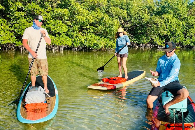 Dolphin and Manatee Adventure Tour of Fort Myers - What the $65 Price Really Buys
