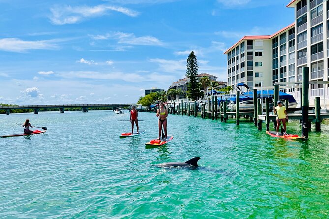 Dolphin and Manatee Adventure Tour of Fort Myers - Weather Can Change the Plan