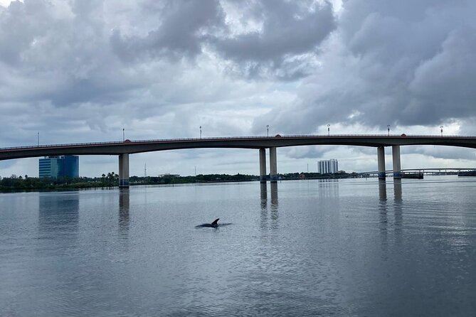 Dolphin and Manatee Stand Up Paddleboard Tour in Daytona Beach - What the guides add to the experience