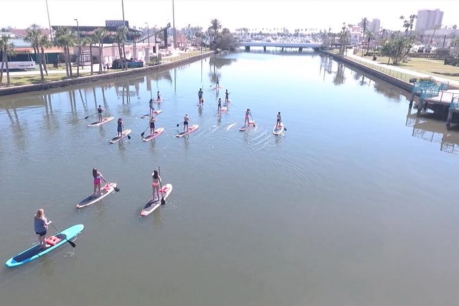 Dolphin and Manatee Stand Up Paddleboard Tour in Daytona Beach - Choosing the best time and handling the weather