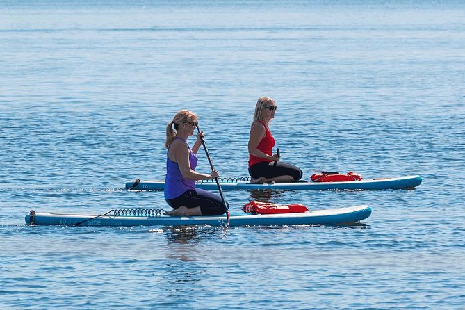 Dolphin and Manatee Stand Up Paddleboard Tour in Daytona Beach - Getting comfortable in the calm bay