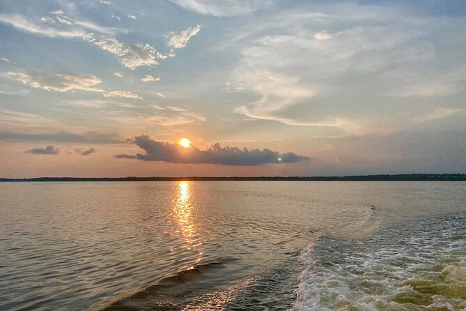 Dolphin and Nature Sunset Cruise from Orange Beach - Golden hour, music, and the onboard bar