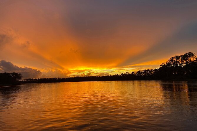 Dolphin and Nature Sunset Cruise from Orange Beach - Herons, eagles, osprey, and other coastal life