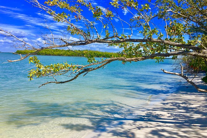 Dolphin and Shelling Cruise for up to 12 people - Reaching the isolated barrier island