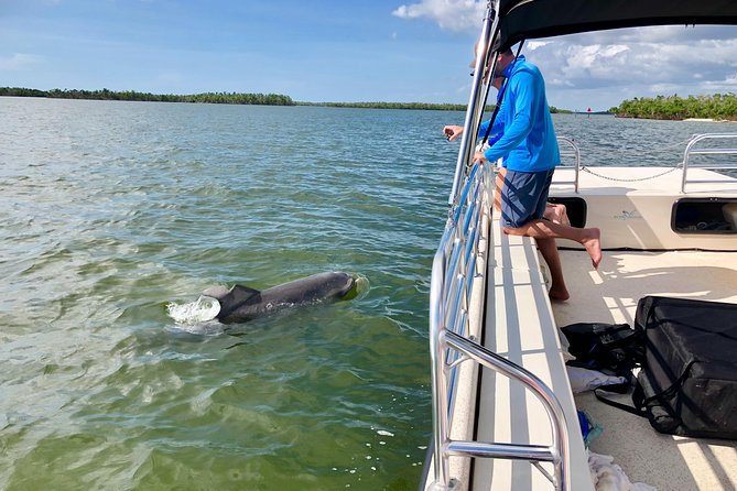 Dolphin and Shelling Cruise for up to 12 people - What the small group adds