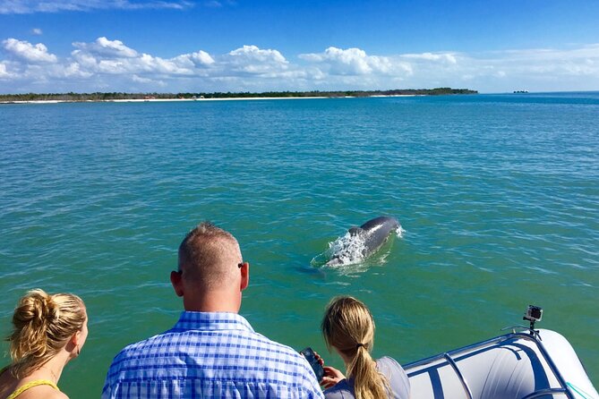 Dolphin and Shelling Cruise for up to 12 people - Timing, family fit, and physical demands