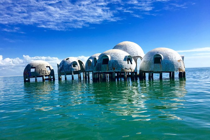 Dolphin and Shelling Cruise for up to 12 people - Is $109 a good value?