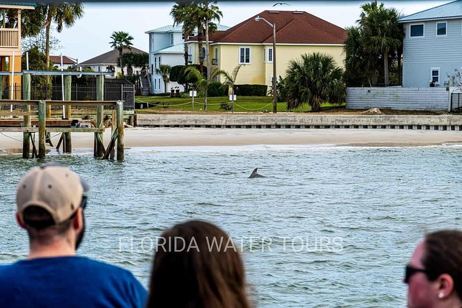 Dolphin and Wildlife Adventure of St. Augustine - Searching for dolphins and other wildlife