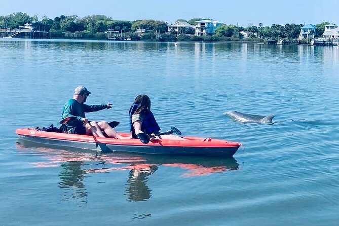 Dolphin, Manatee and SeaTurtle SUP Adventure Tour of St Augustine - Quick facts before you book