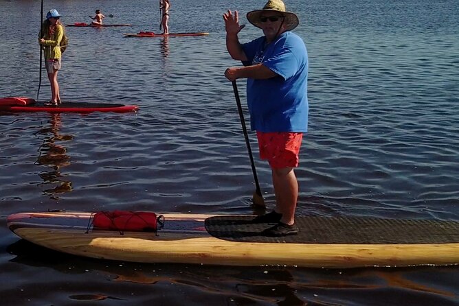 Dolphin, Manatee and SeaTurtle SUP Adventure Tour of St Augustine - Your chances of seeing dolphins, turtles, and manatees