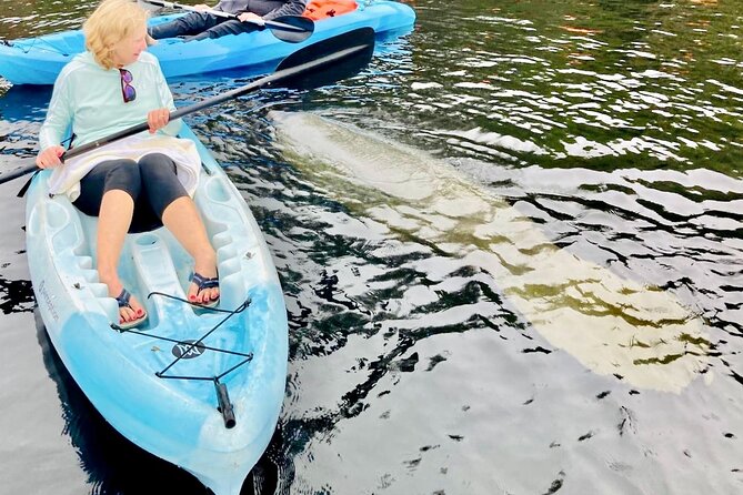 Dolphin, Manatee and SeaTurtle SUP Adventure Tour of St Augustine - Guides who make the difference