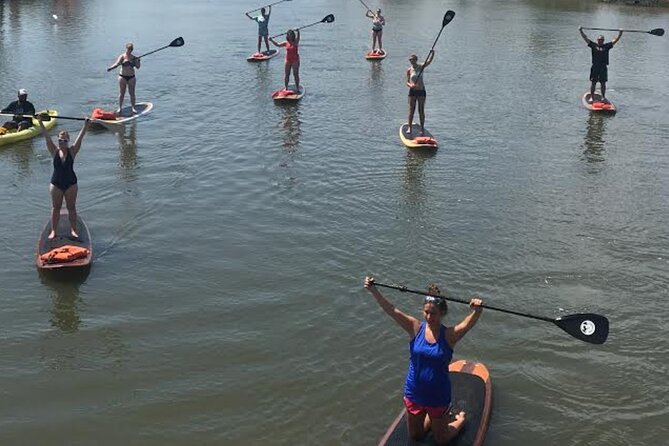 Dolphin, Manatee and SeaTurtle SUP Adventure Tour of St Augustine - Is $65 a fair price?
