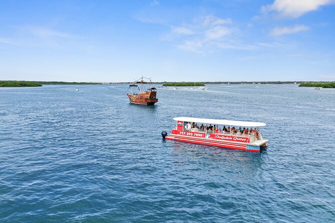 Dolphin Watching/Eco Cruise, John's Pass, Madeira Bch, FL - Weather, comfort, and planning tips