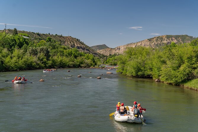 Durango 1/4 Day Rafting Trip - Lower Animas River - What the $75.21 price includes