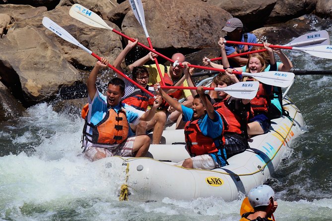 Durango Half Day Rafting Trip - Lower Animas River - Key points at a glance