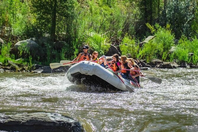 Durango Half Day Rafting Trip - Lower Animas River - Smelter Rapid, the trip’s liveliest section