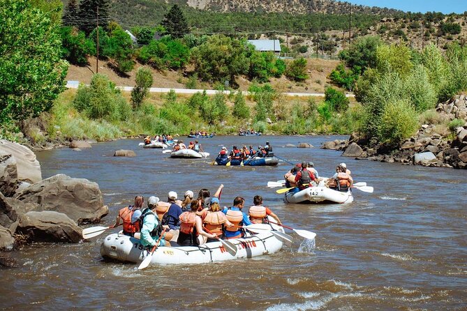 Durango Half Day Rafting Trip - Lower Animas River - From Animas View Drive to the river